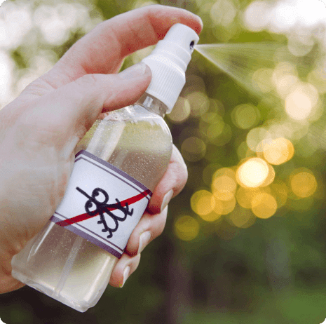 Ant Treatment Perth